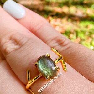 Labradorite branch ring